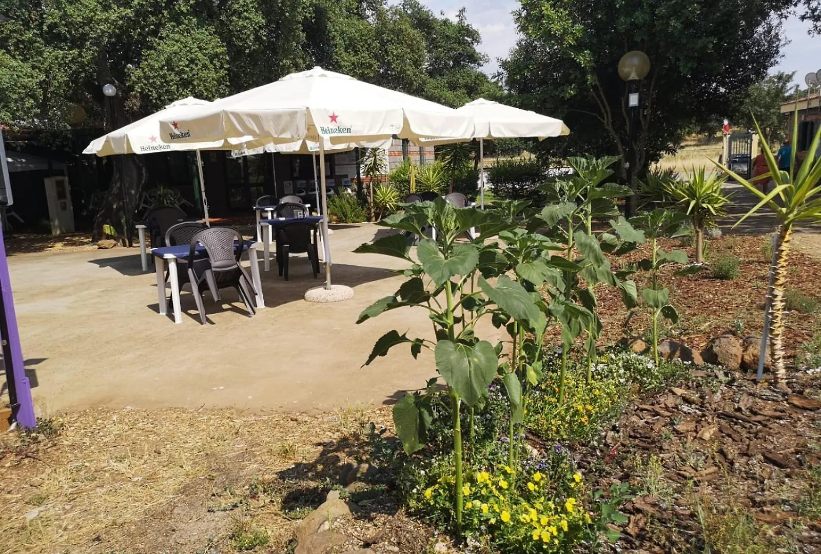 Nuraghe Ruiu Villaggio Tende Attrezzate Norbello Camping