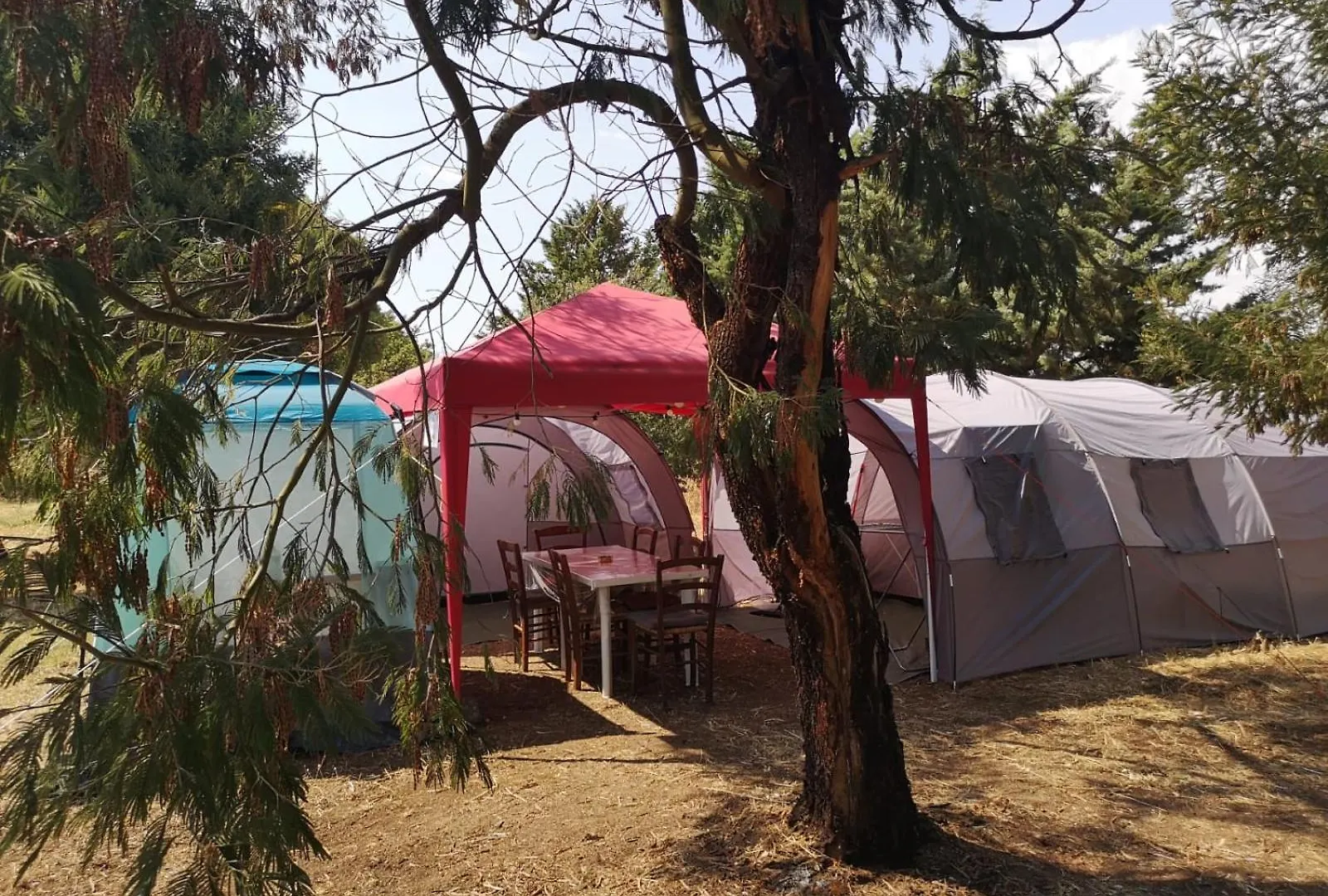 Nuraghe Ruiu Villaggio Tende Attrezzate contacts